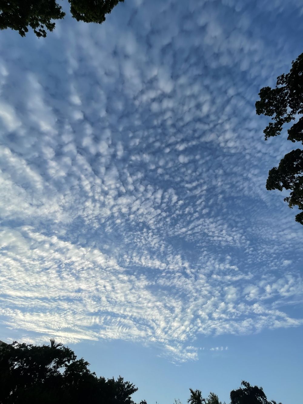 jameliz jamelizzzz OnlyFans Profile. Review, Photos, Statistics