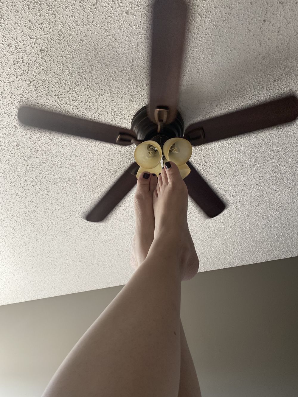 ambutterfly OnlyFans profile picture