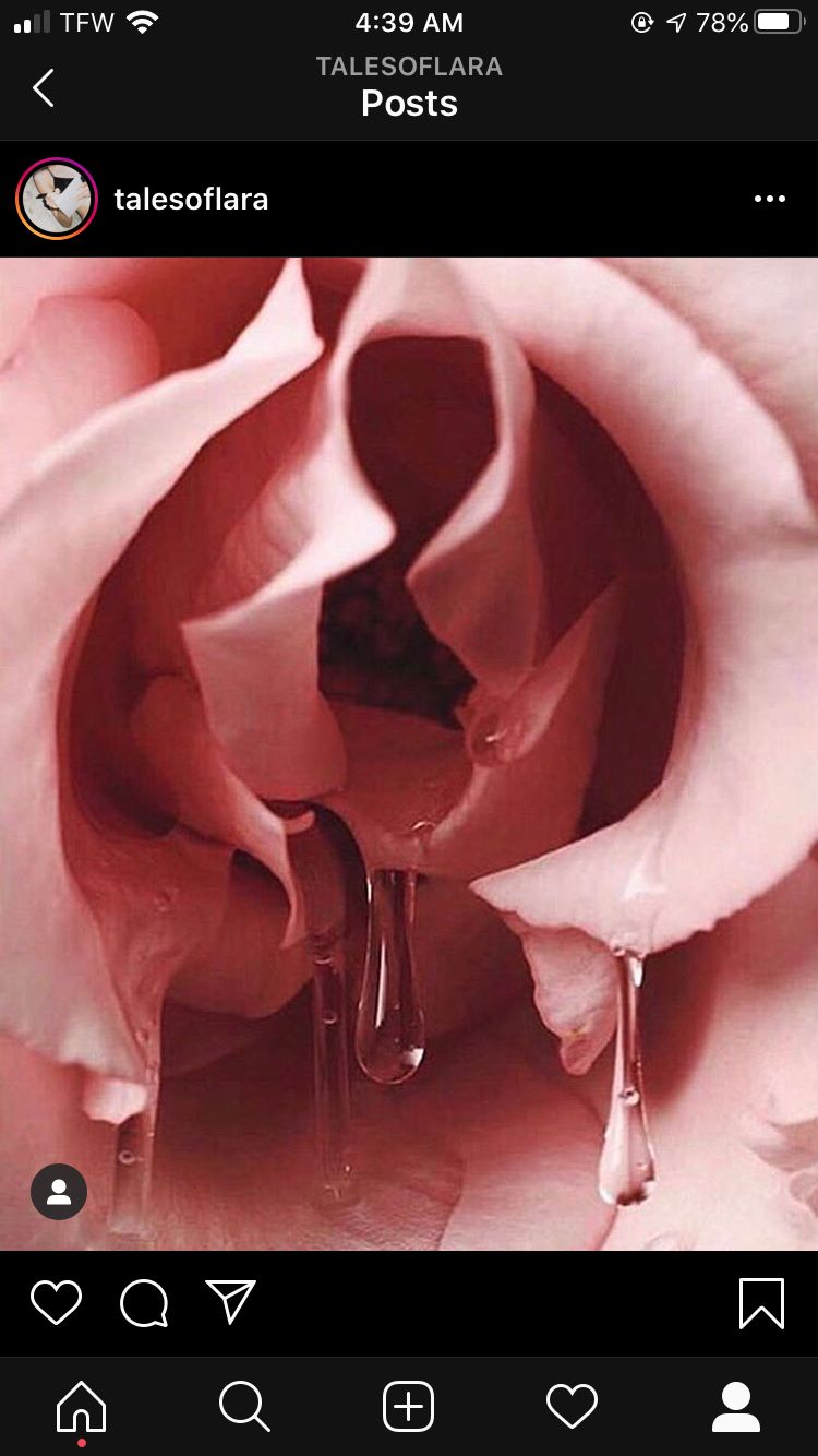 robbyaxelrob OnlyFans profile picture