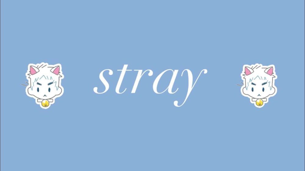 thestraypet OnlyFans profile picture