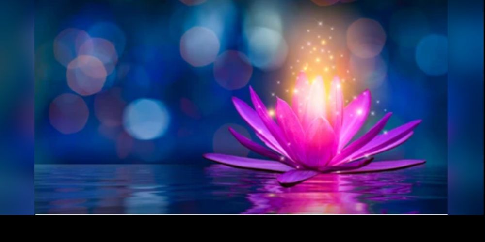 gardenoflotus OnlyFans profile picture