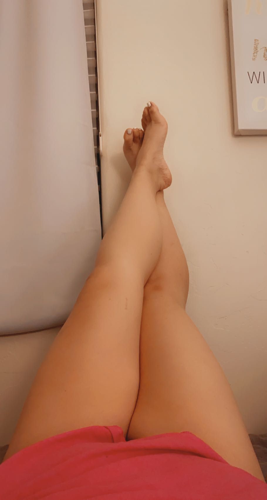 gushygushy13 OnlyFans profile picture