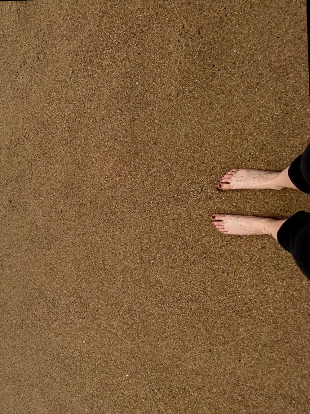 barefoottbbabe OnlyFans profile picture
