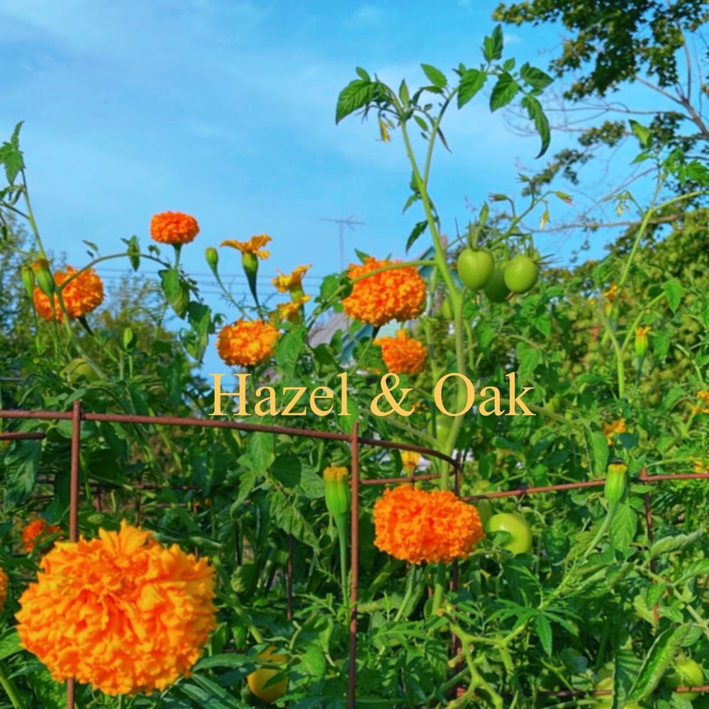 oakandhazel OnlyFans profile picture