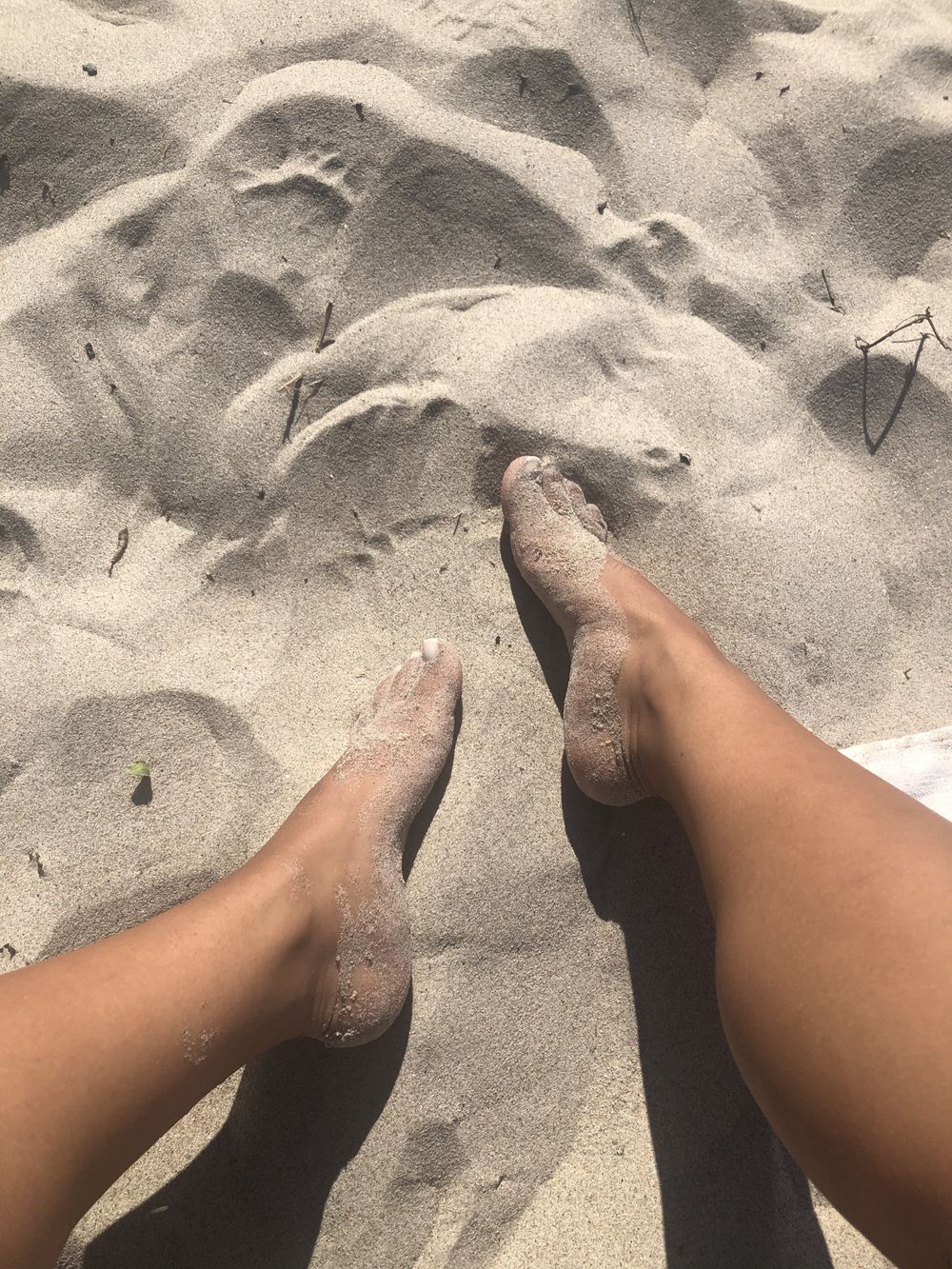 yesfeetlover OnlyFans profile picture