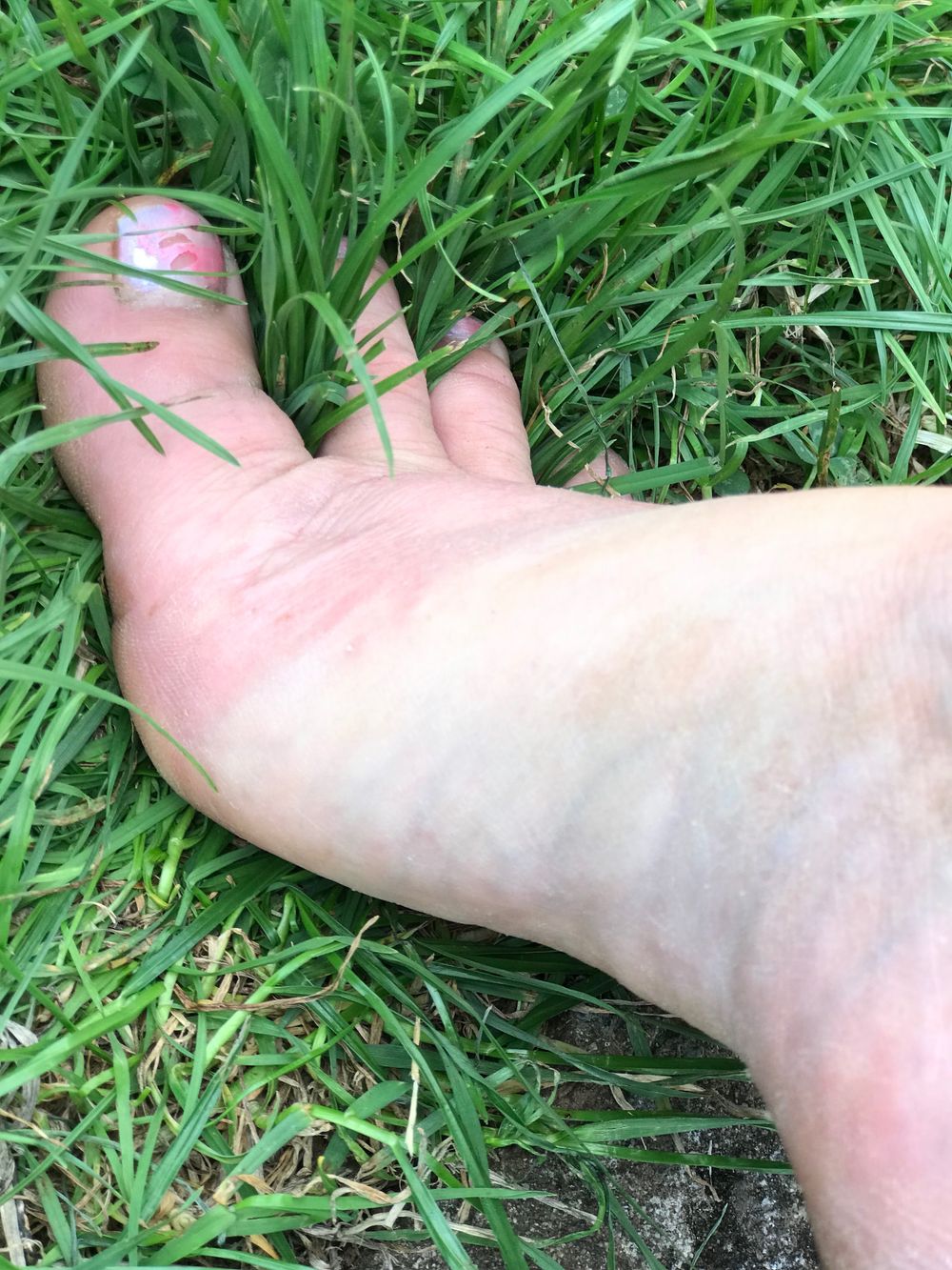 rosietoest OnlyFans profile picture