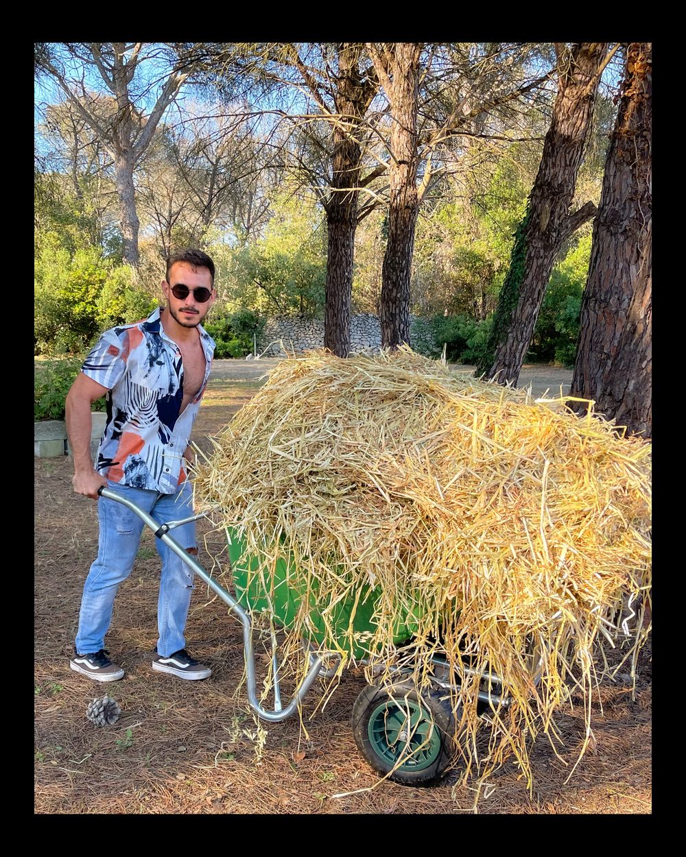 italobrasile OnlyFans profile picture