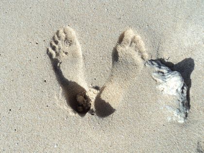 lespiedsduyeti_feet OnlyFans picture