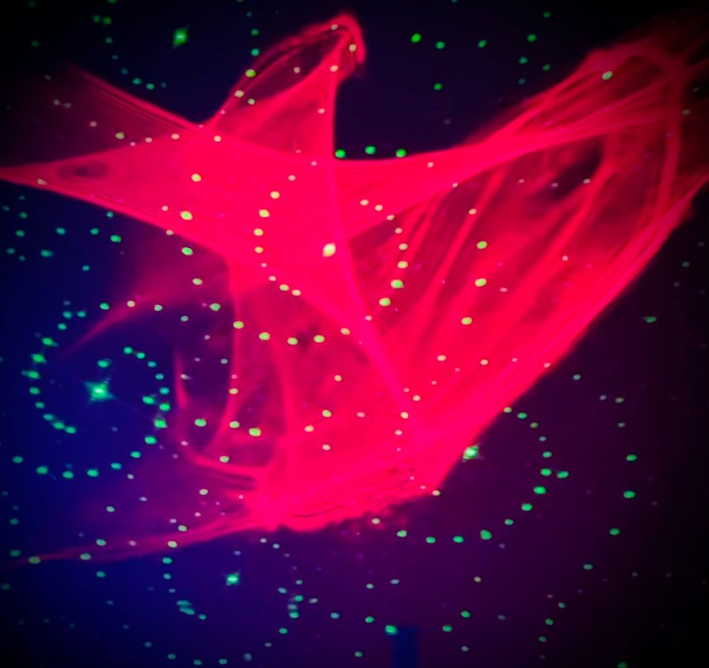 nptrancedance OnlyFans profile picture