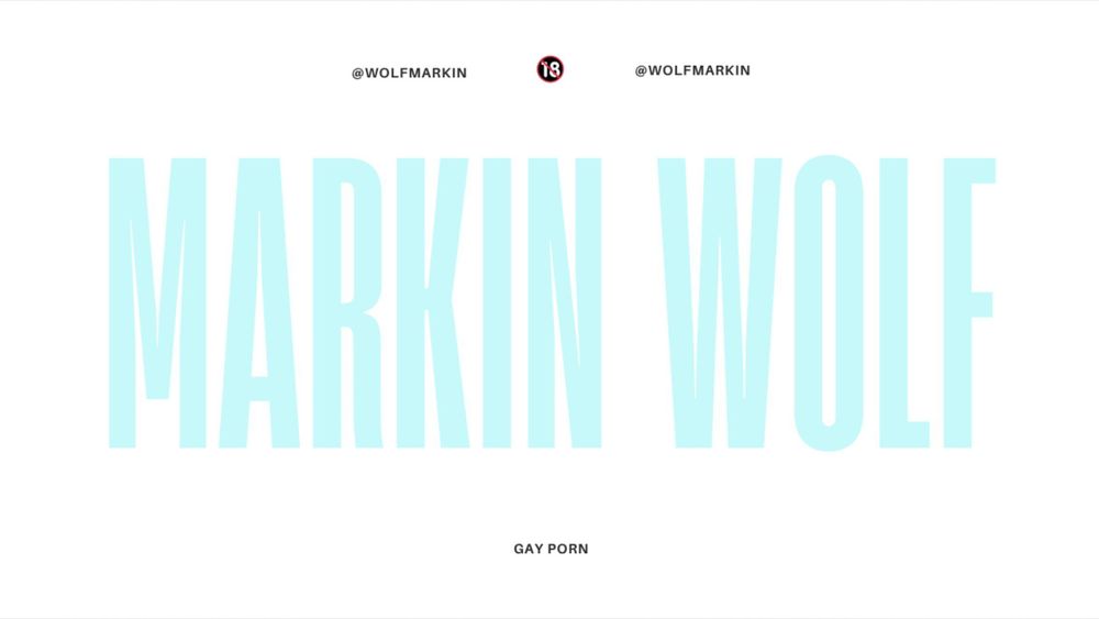markinwolf OnlyFans profile picture