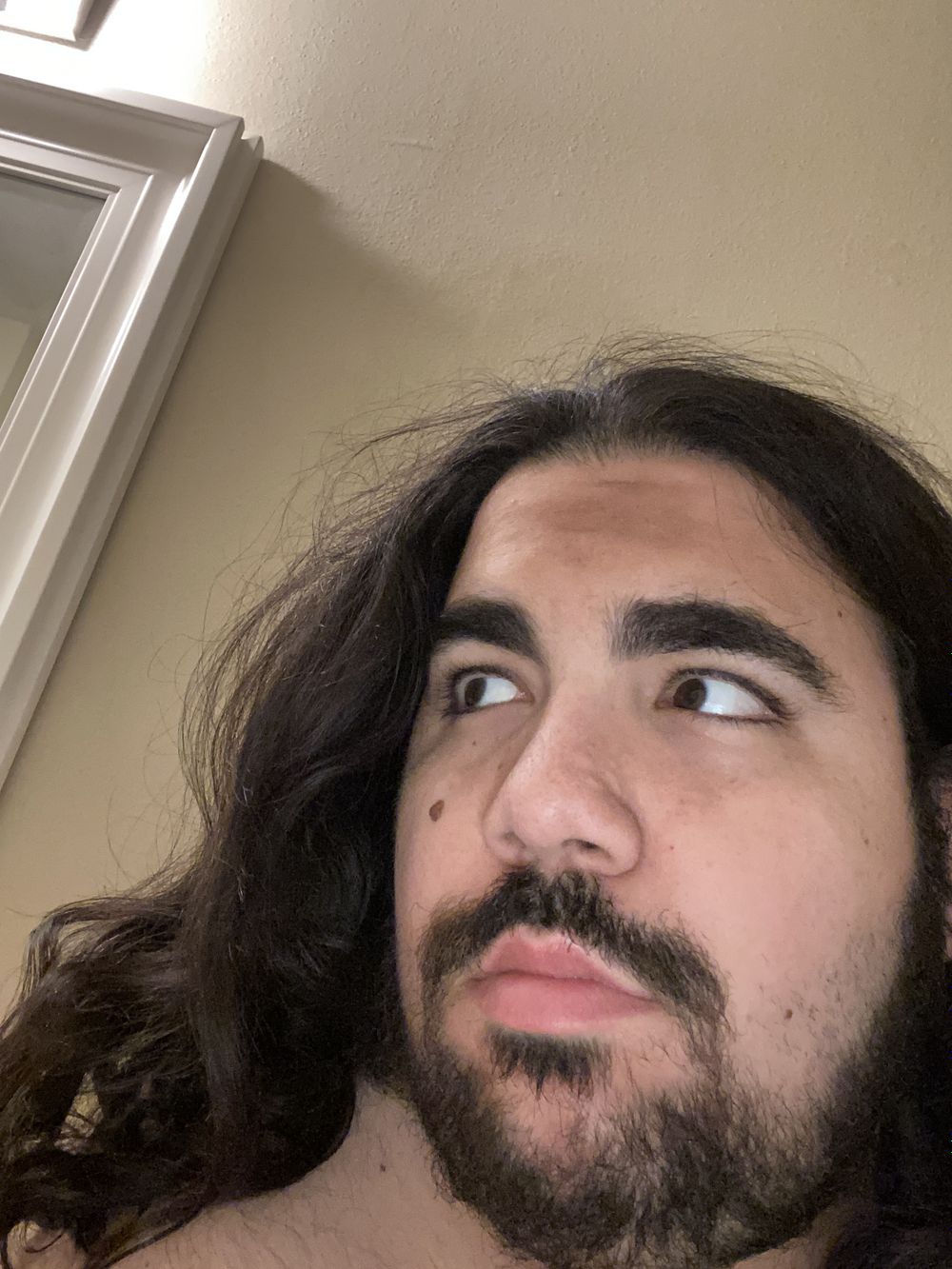 broncobottom OnlyFans profile picture