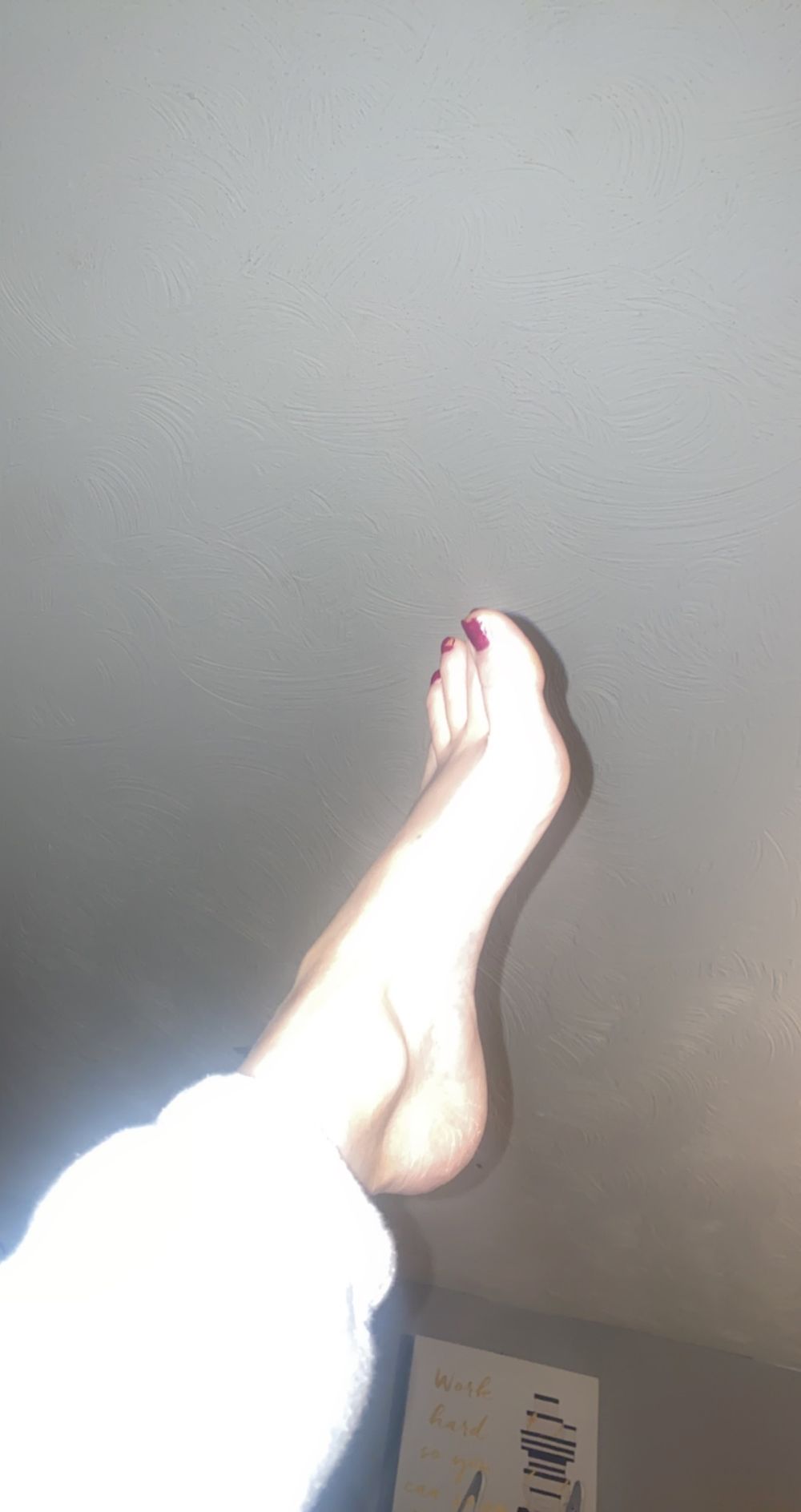 u215270146 OnlyFans profile picture