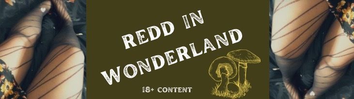 meetmeinwonderland OnlyFans profile picture