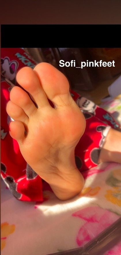 sofi_pinkfeet OnlyFans picture