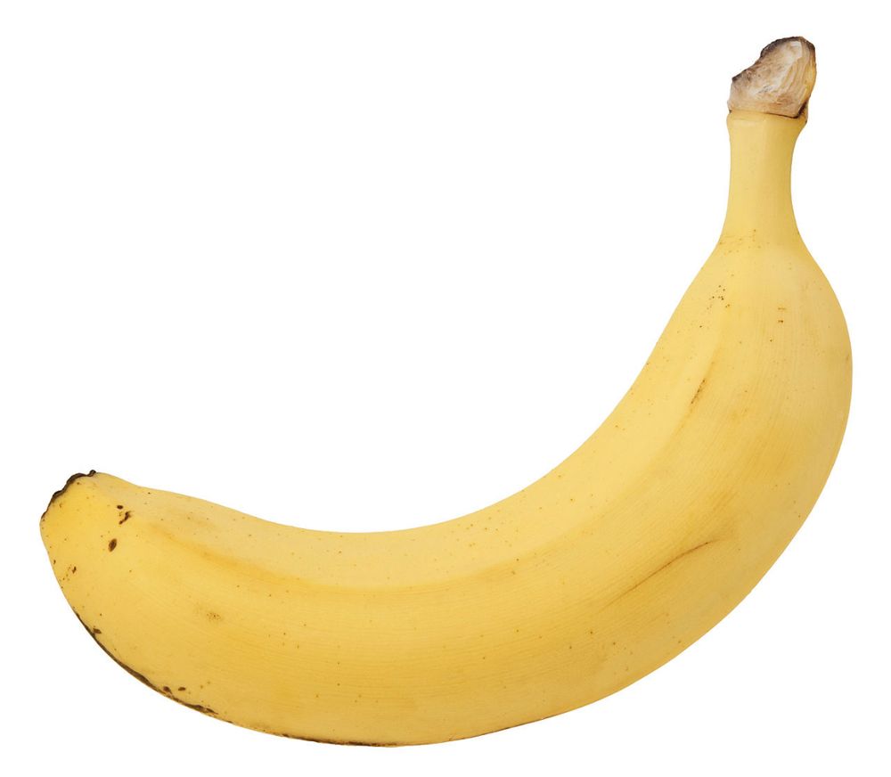 bryanbanana OnlyFans profile picture