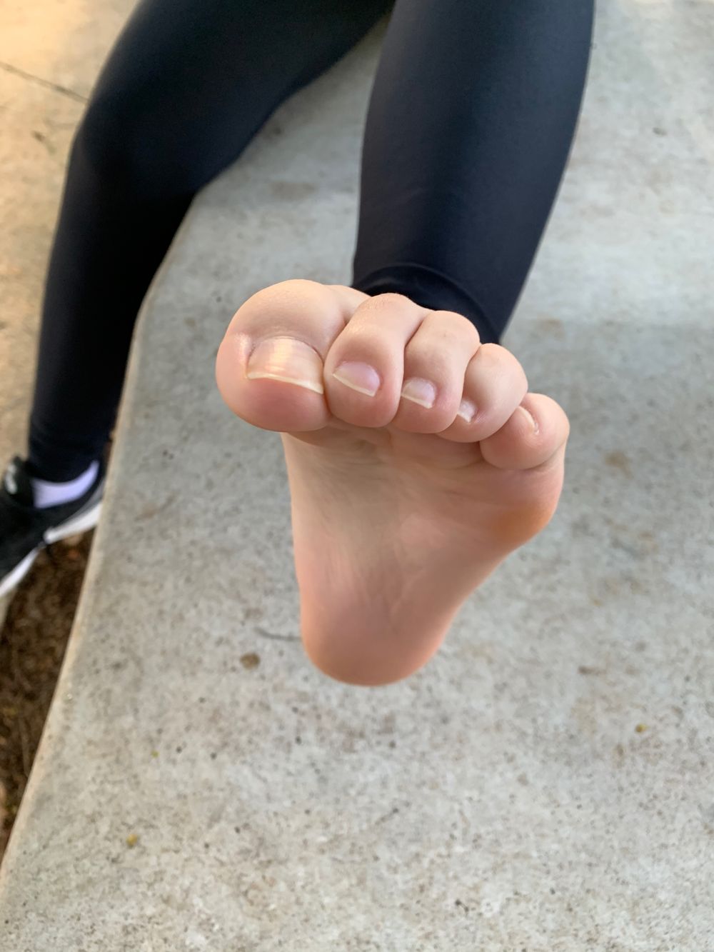 pallomalovelyfree OnlyFans profile picture