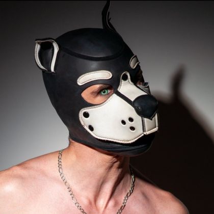 ryder_stryker OnlyFans picture