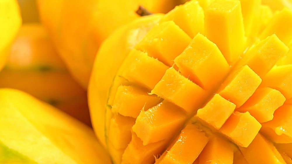 honey_mango OnlyFans profile picture