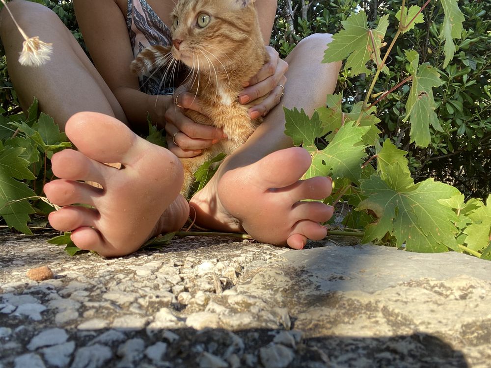 prudencefeet OnlyFans profile picture