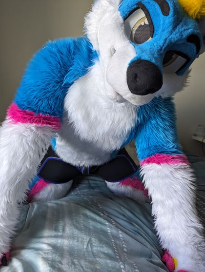 melldog OnlyFans picture