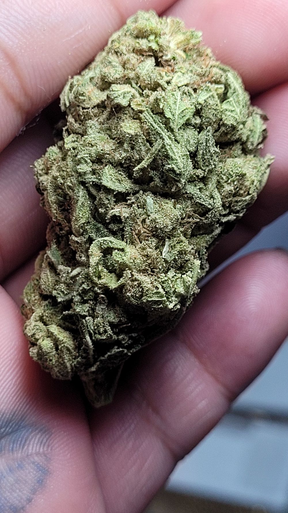 blueblinky OnlyFans profile picture