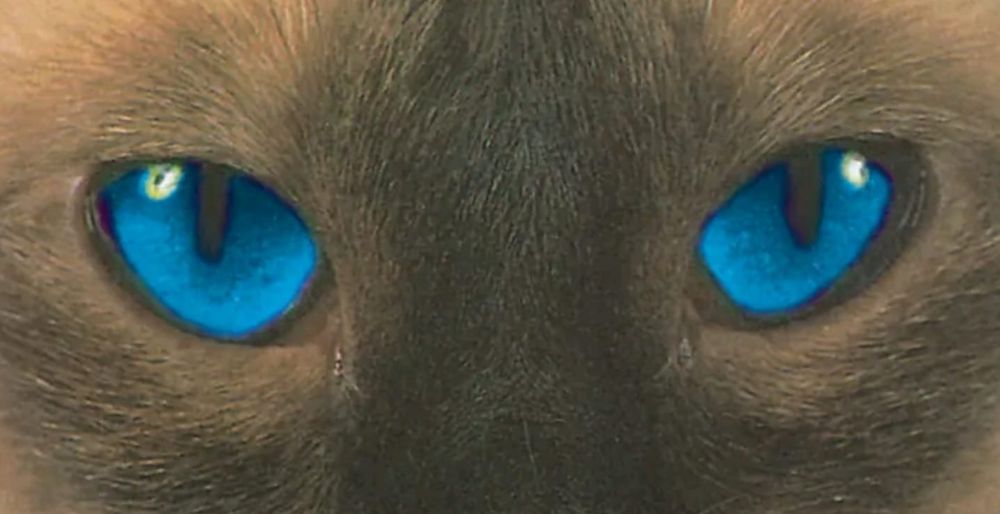 love_eli OnlyFans - Stats, Graphs, Photos & Profile Comparisons