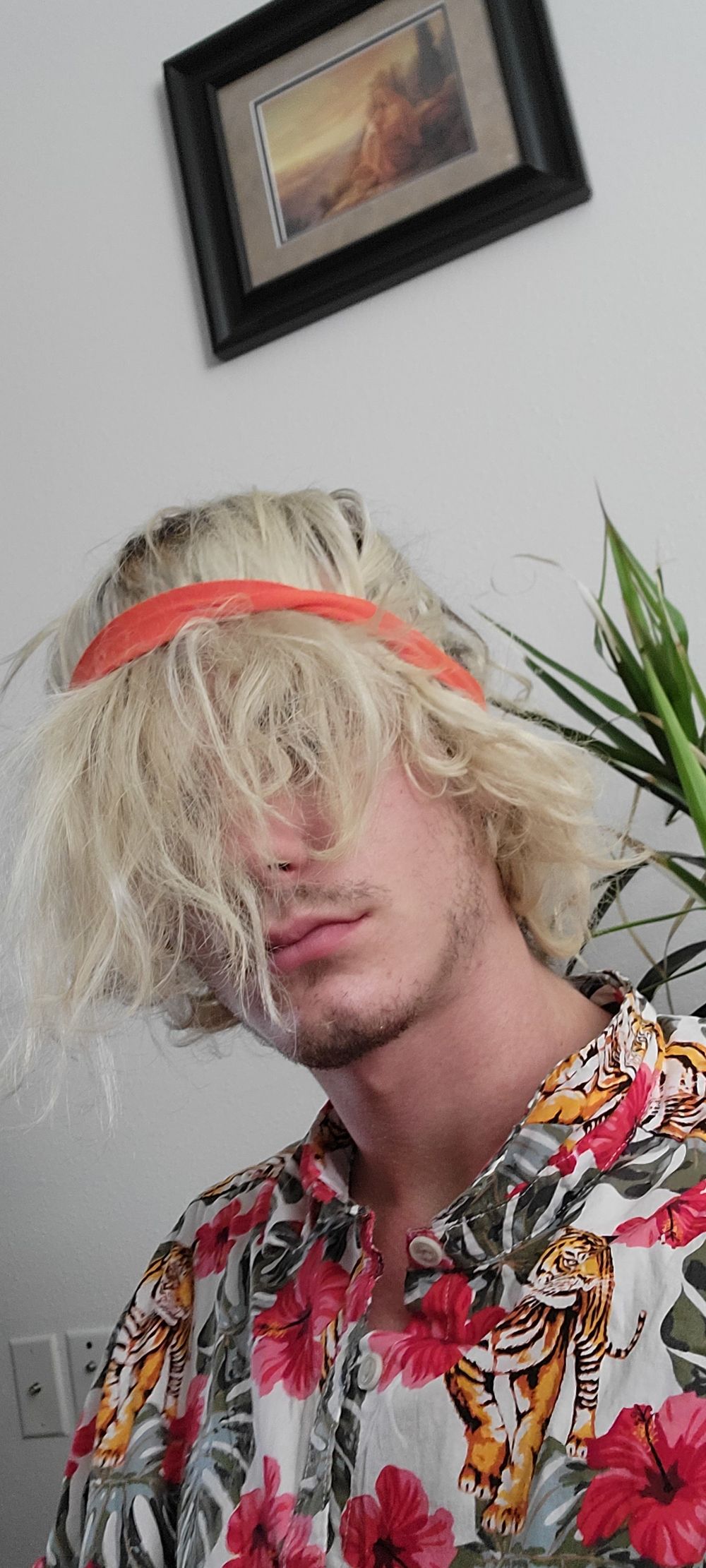 bongoboy37 OnlyFans profile picture