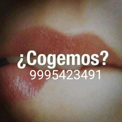 angelcuxin OnlyFans profile picture