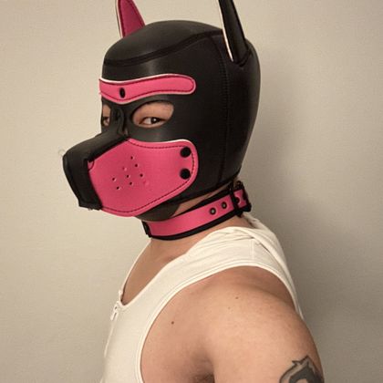 gaypupnerd OnlyFans picture