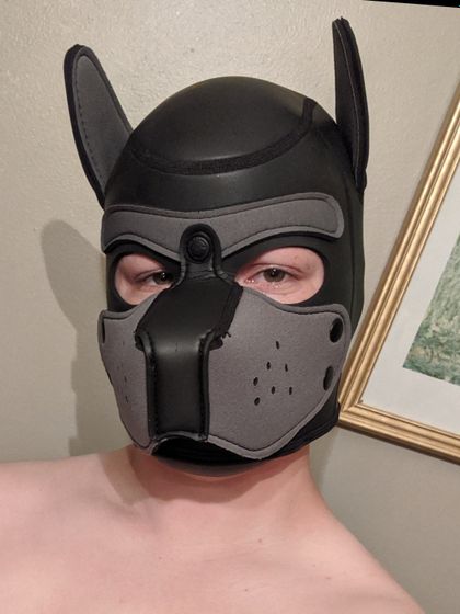 pupjackal OnlyFans picture