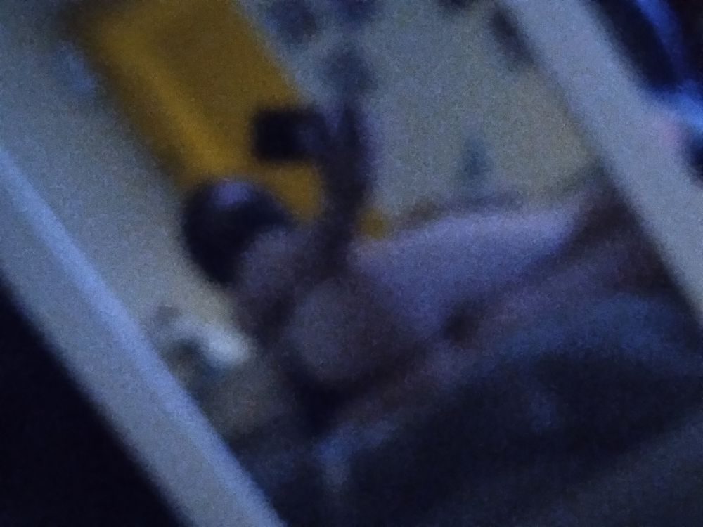 lunabruqa OnlyFans profile picture