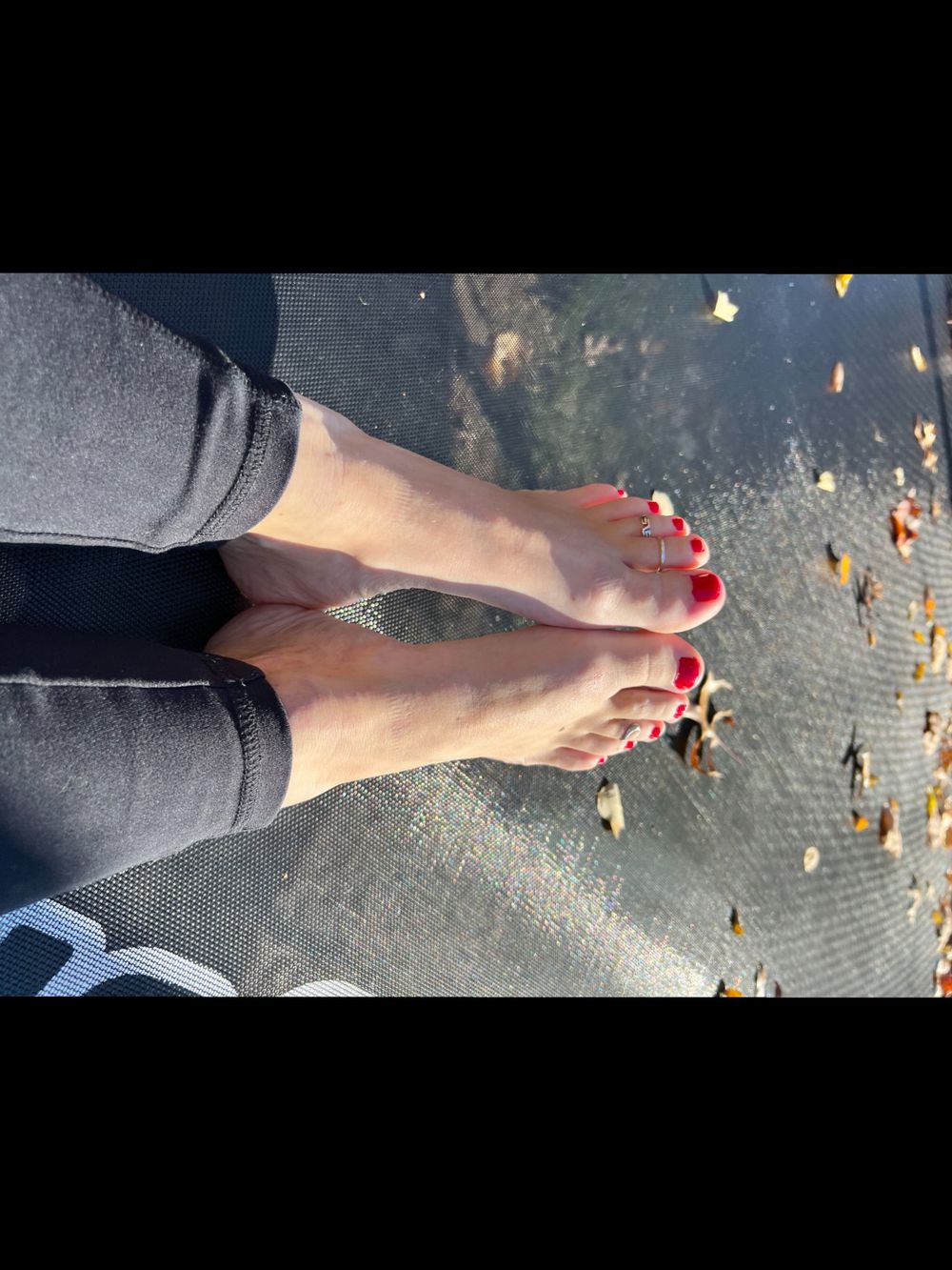 verynicetootsies OnlyFans profile picture