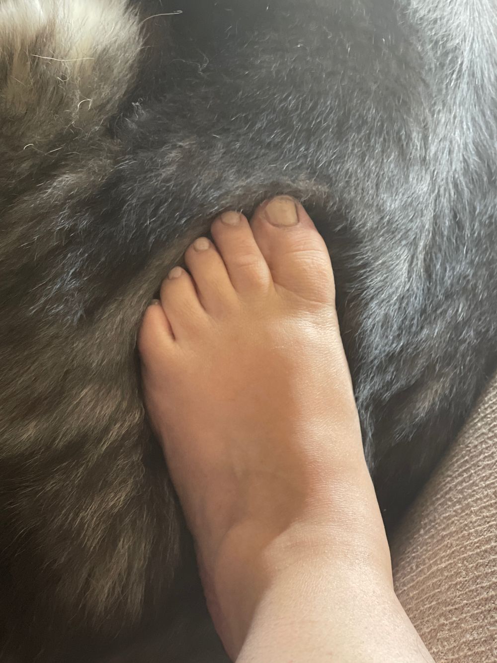 sexydonnamediterranea OnlyFans profile picture