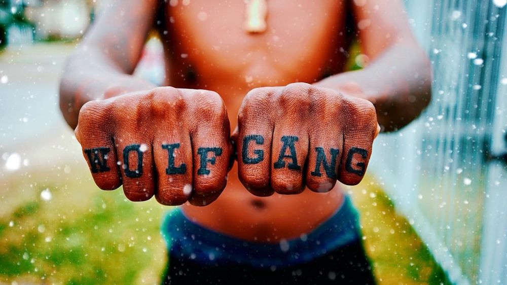 wxlfgangdaniels OnlyFans profile picture