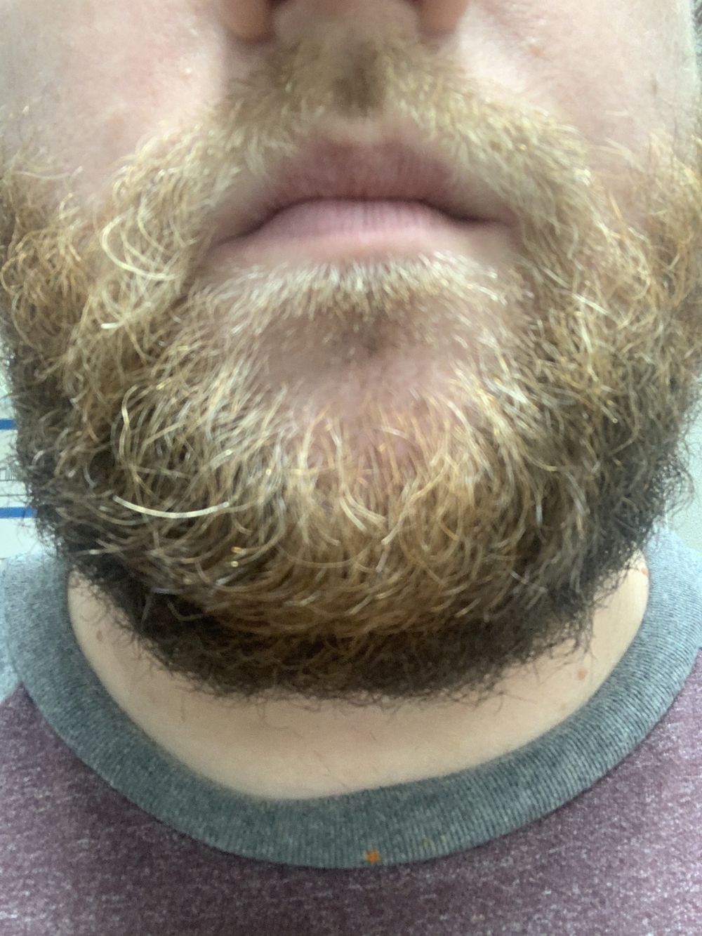 erabeard OnlyFans profile picture