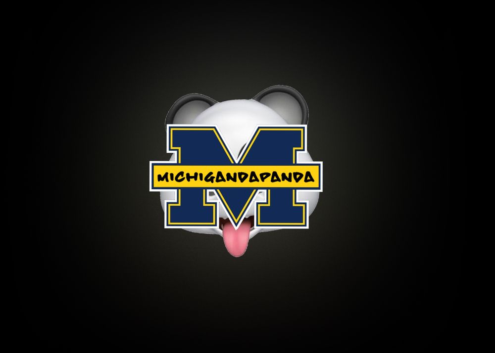 michigandapanda OnlyFans profile picture