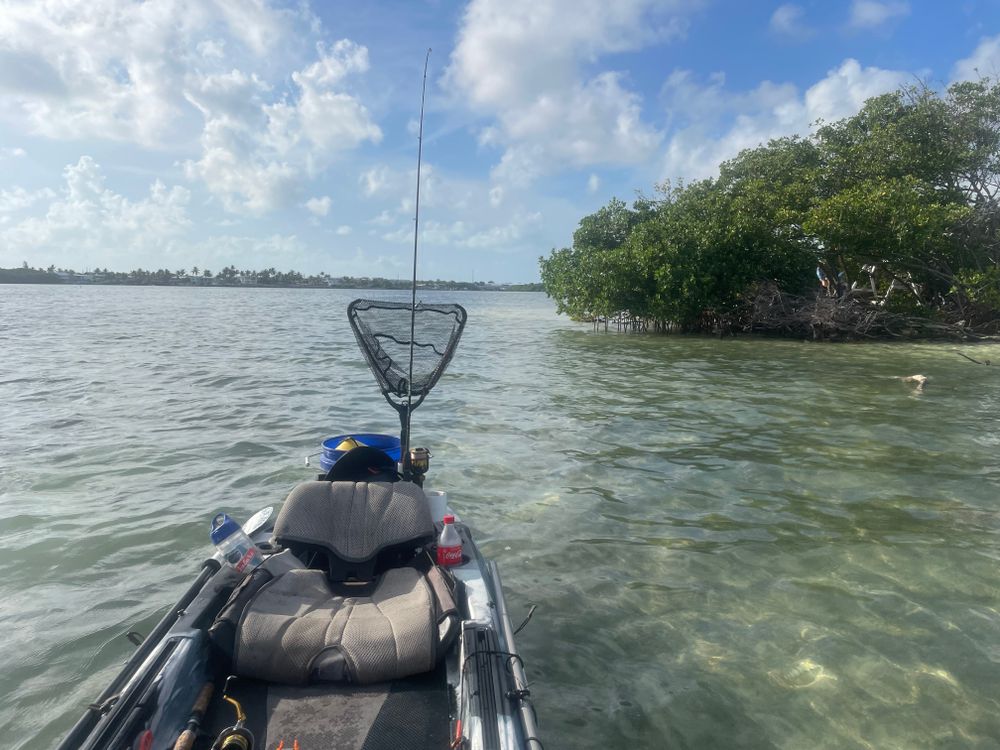 fl_kayaker OnlyFans profile picture