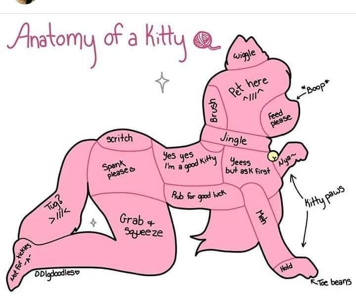 mrskittymilf OnlyFans profile picture