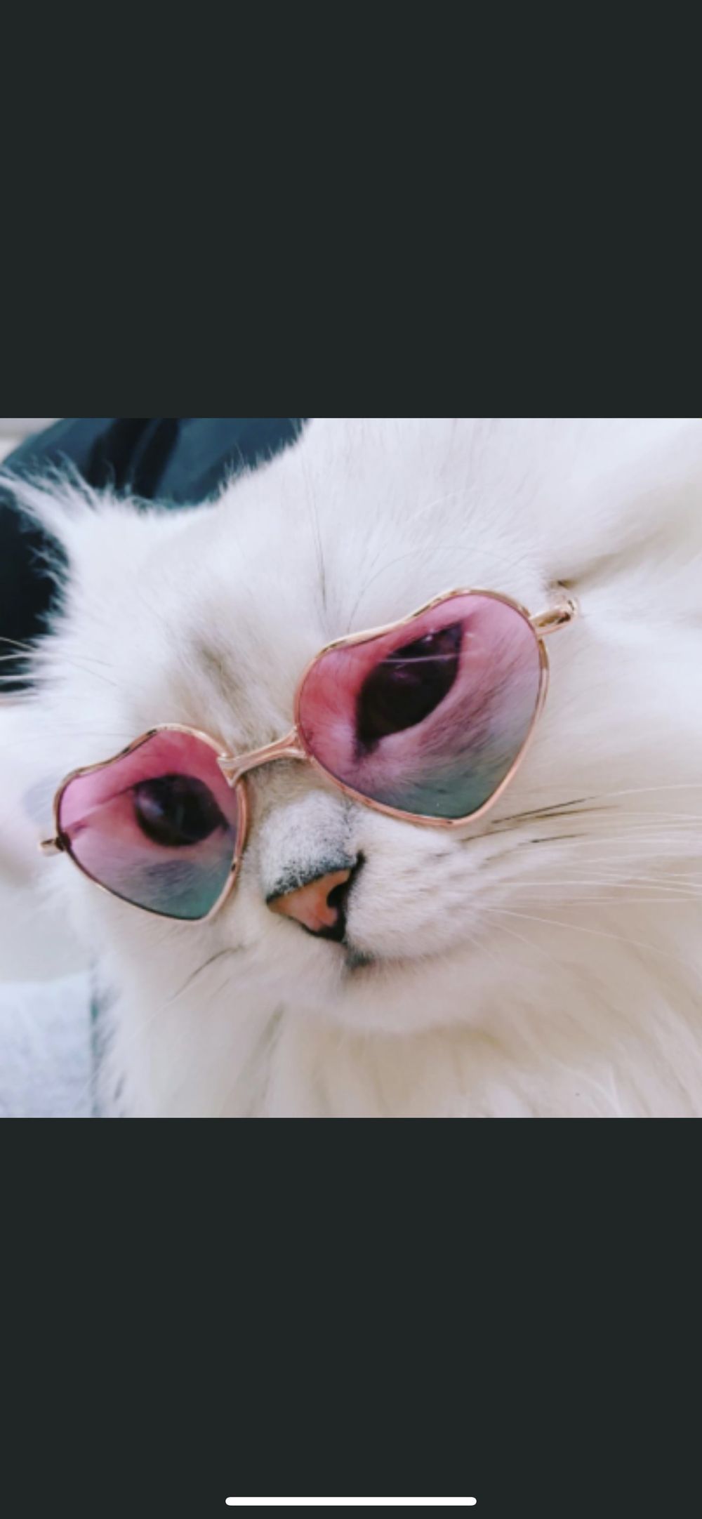 kayymo OnlyFans profile picture