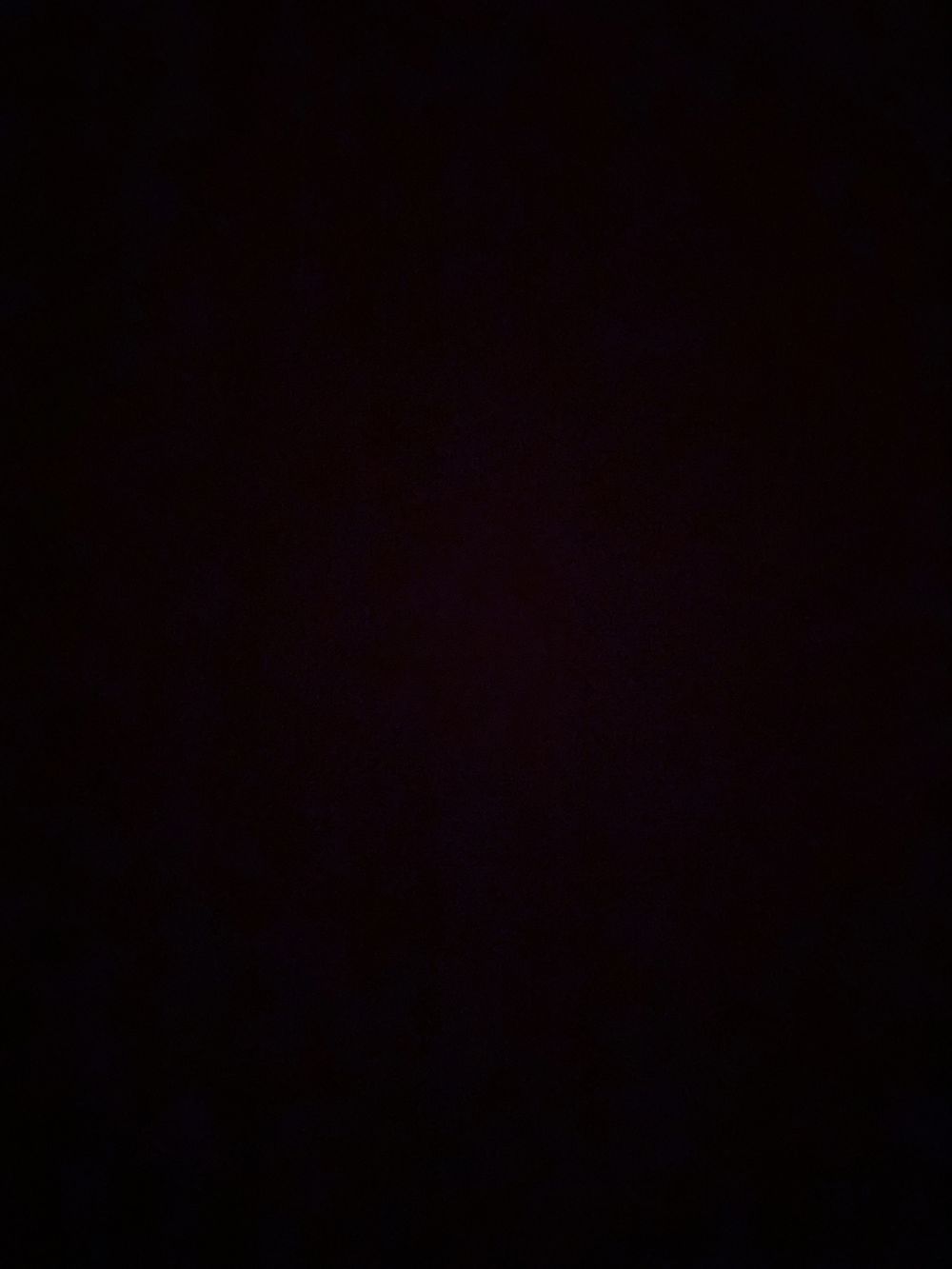 looppy OnlyFans profile picture