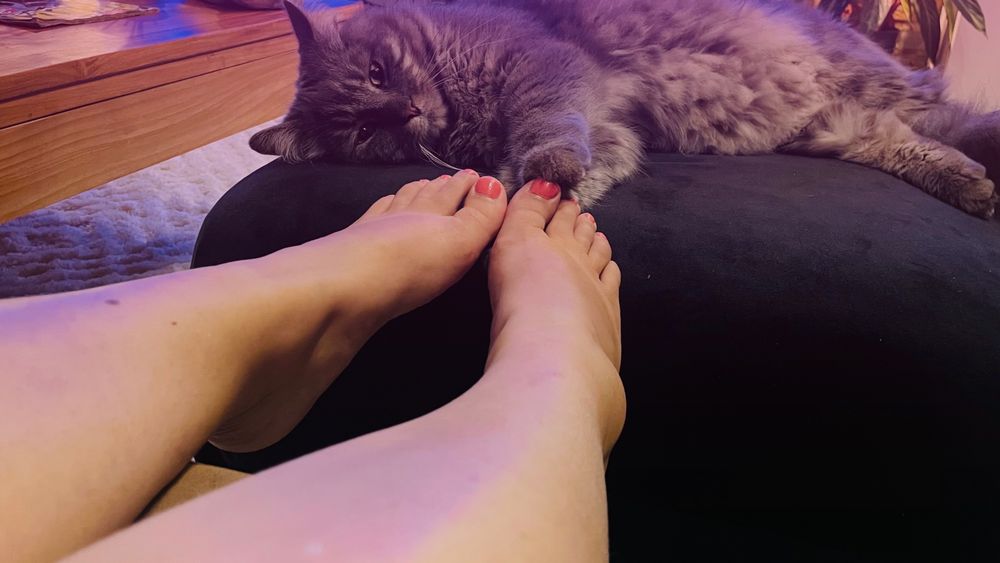 sweetfeetsins OnlyFans profile picture