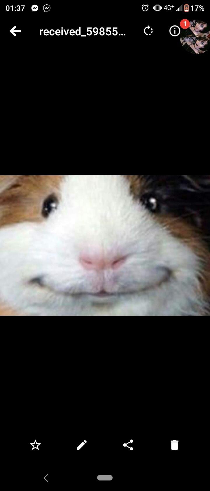hopxl OnlyFans profile picture