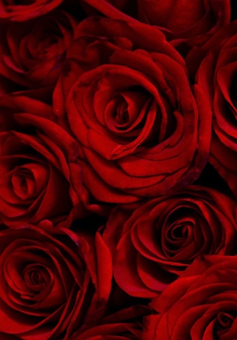 u209568998 OnlyFans profile picture