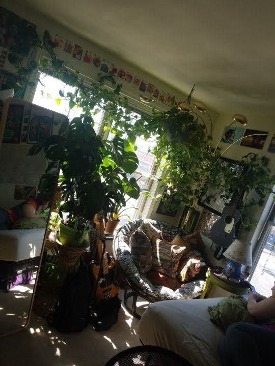 potlady_and_potguy OnlyFans profile picture
