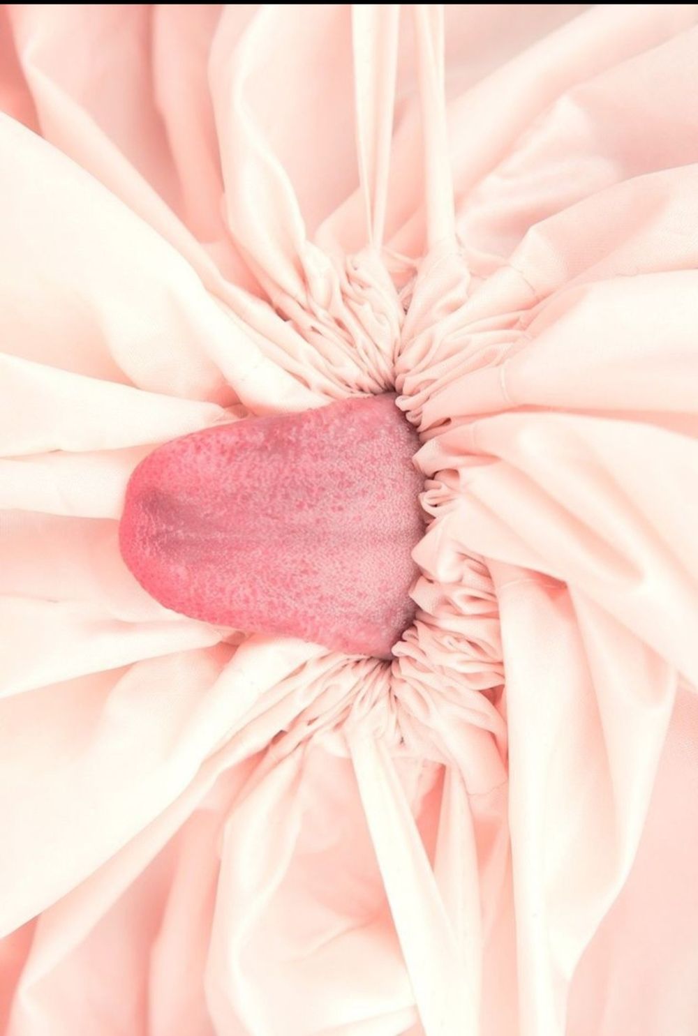 tuttufrutti OnlyFans profile picture