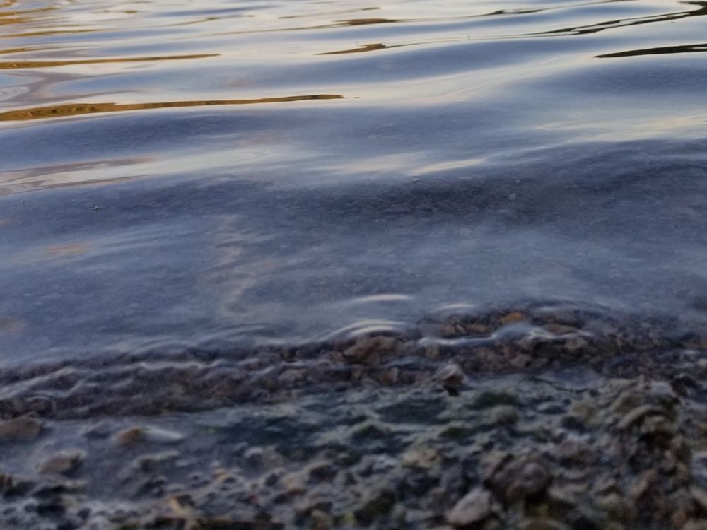 noface_nocasedl OnlyFans Stats, Graphs, Photos & Profile Comparisons