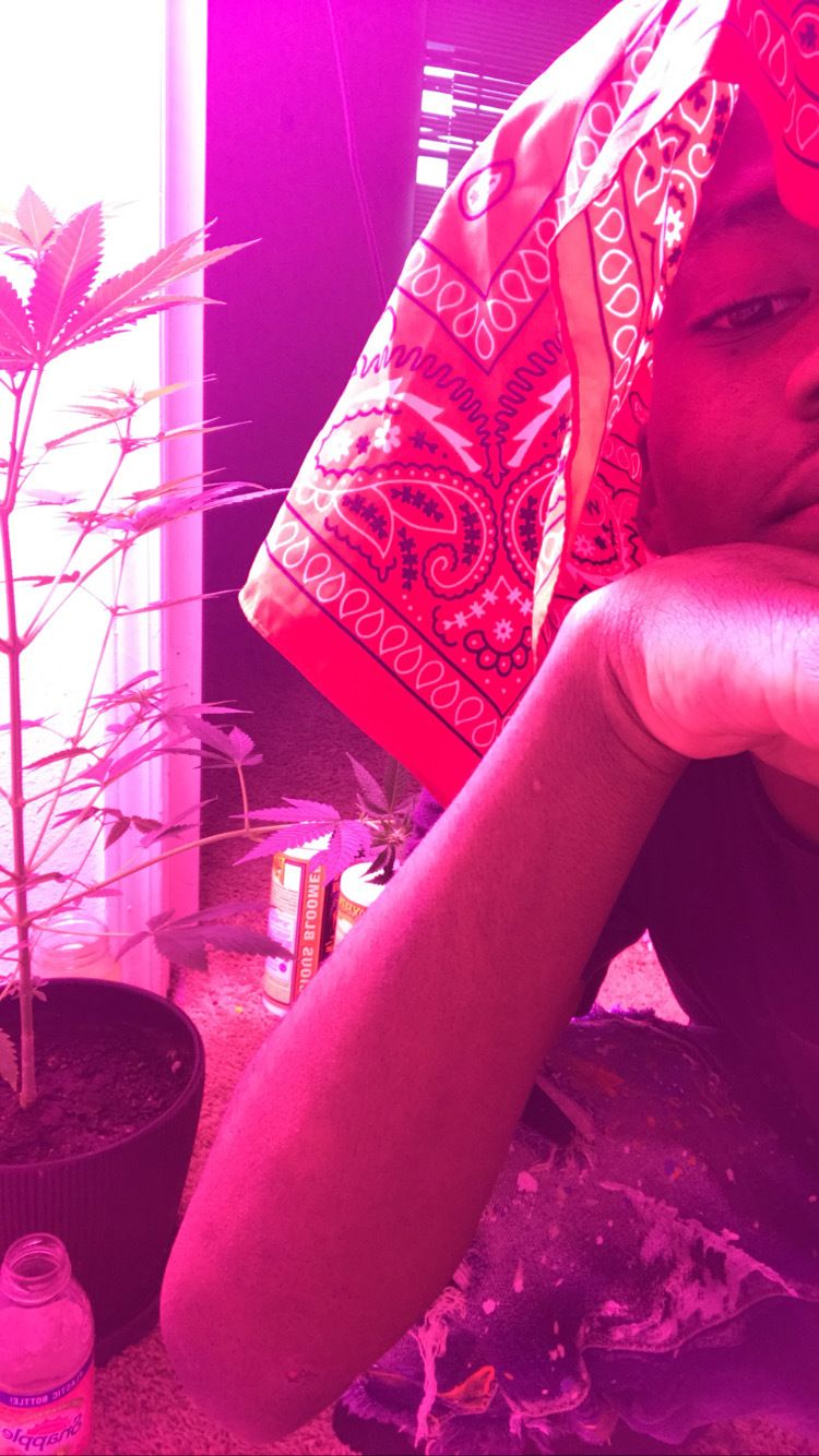 stapehardbody OnlyFans profile picture