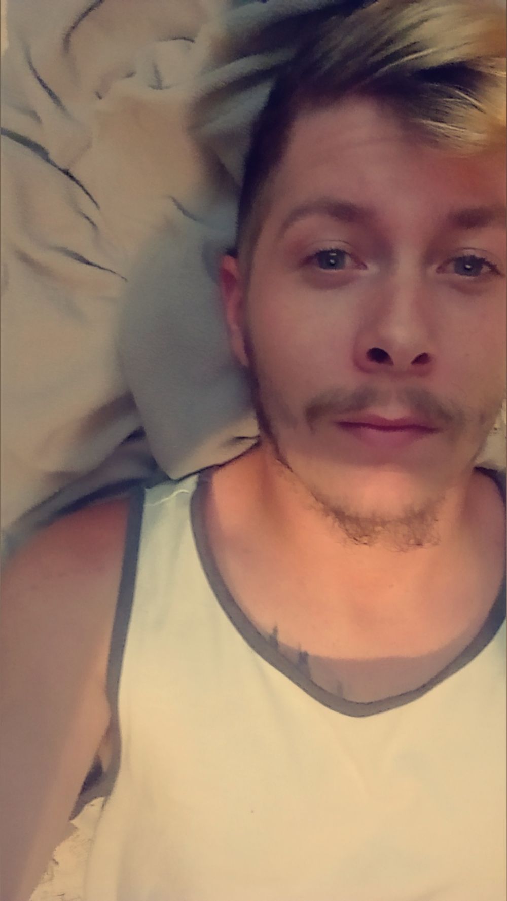 kimmellalex OnlyFans profile picture