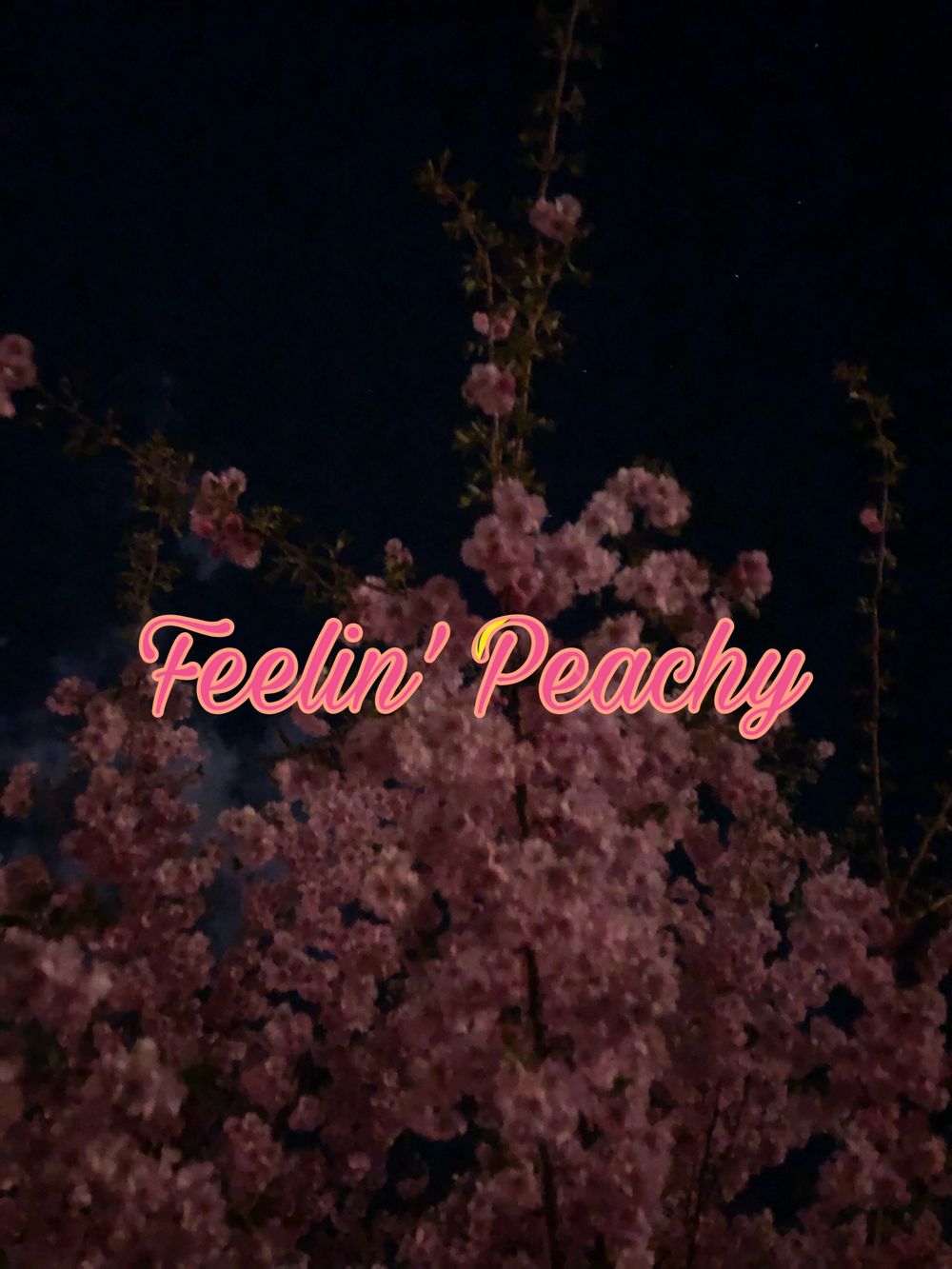 juicypeachkitten OnlyFans profile picture