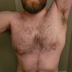 daddybearharris OnlyFans picture